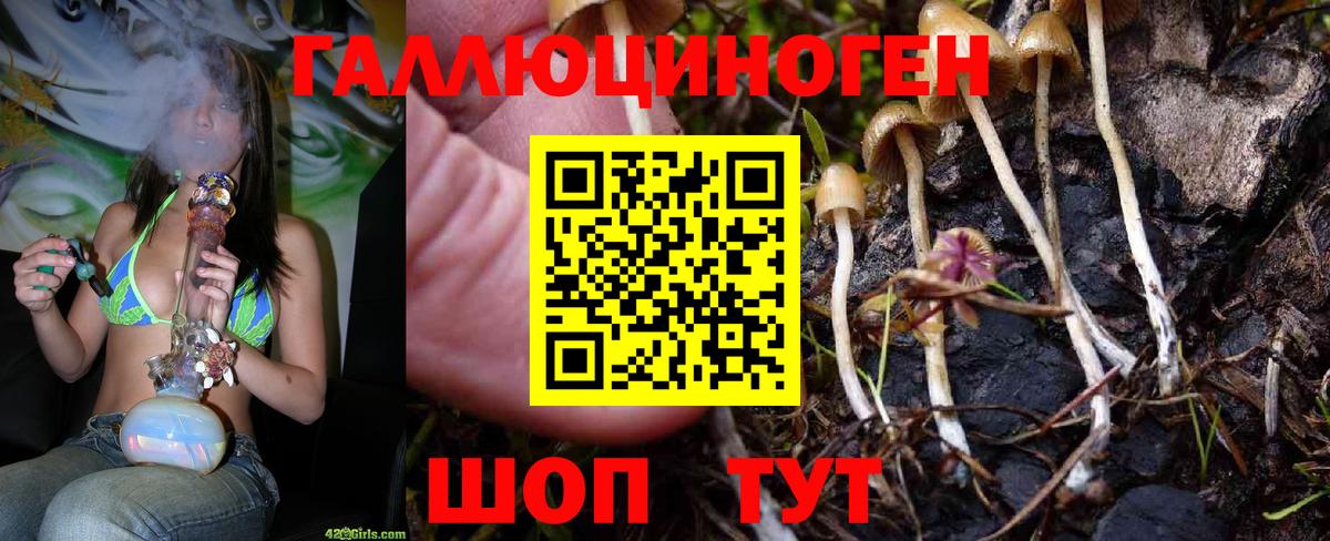 Конаково  Галлюциногенные грибы ЛСД  Вход с VPN 