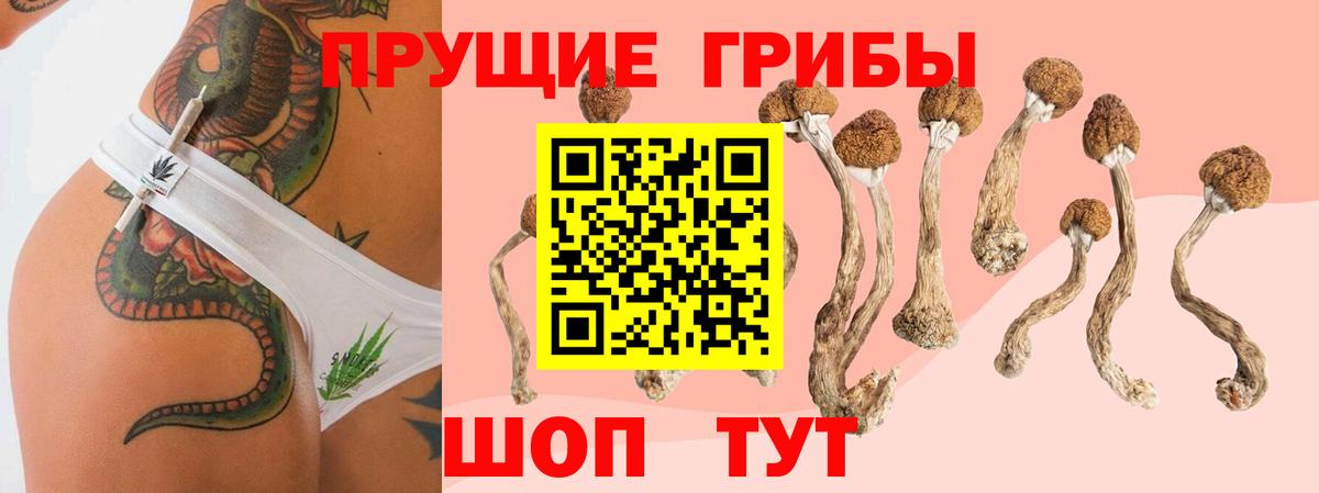 Псилоцибиновые грибы мухоморы Конаково