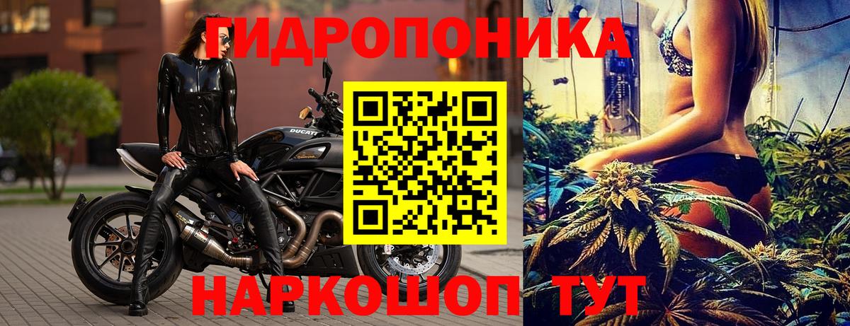 Каннабис марихуана Конаково